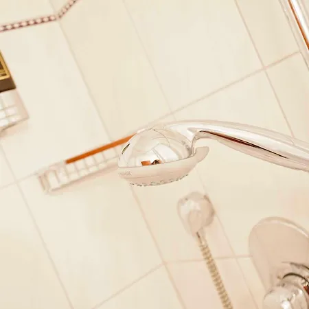 Gaestehaus Birkenhof בית הארחה 3*